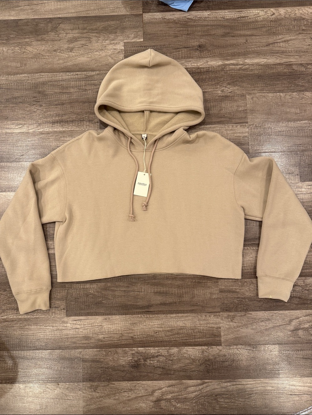 Cropped Hooded Sweatshirt in Beige - Amazhiyu